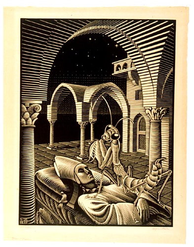 Wikioo.org - Bách khoa toàn thư về mỹ thuật - Vẽ tranh, Tác phẩm nghệ thuật Maurits Cornelis Escher - asd