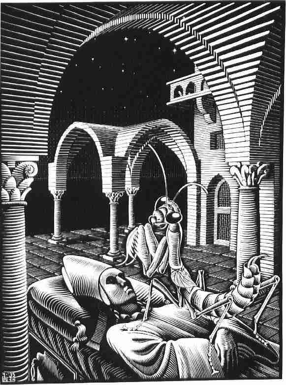 WikiOO.org - אנציקלופדיה לאמנויות יפות - ציור, יצירות אמנות Maurits Cornelis Escher - Dream