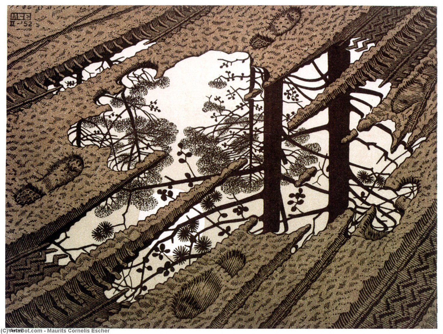 Wikioo.org - The Encyclopedia of Fine Arts - Painting, Artwork by Maurits Cornelis Escher - PUDDLE