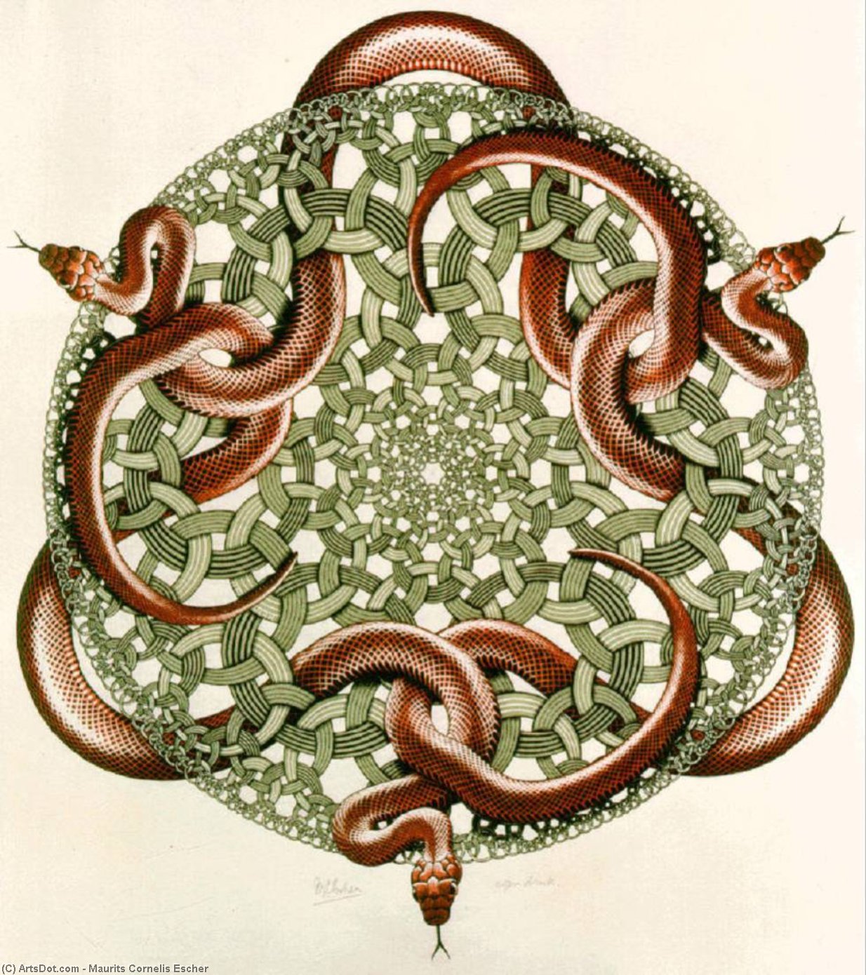 Wikioo.org - The Encyclopedia of Fine Arts - Painting, Artwork by Maurits Cornelis Escher - snakes 2