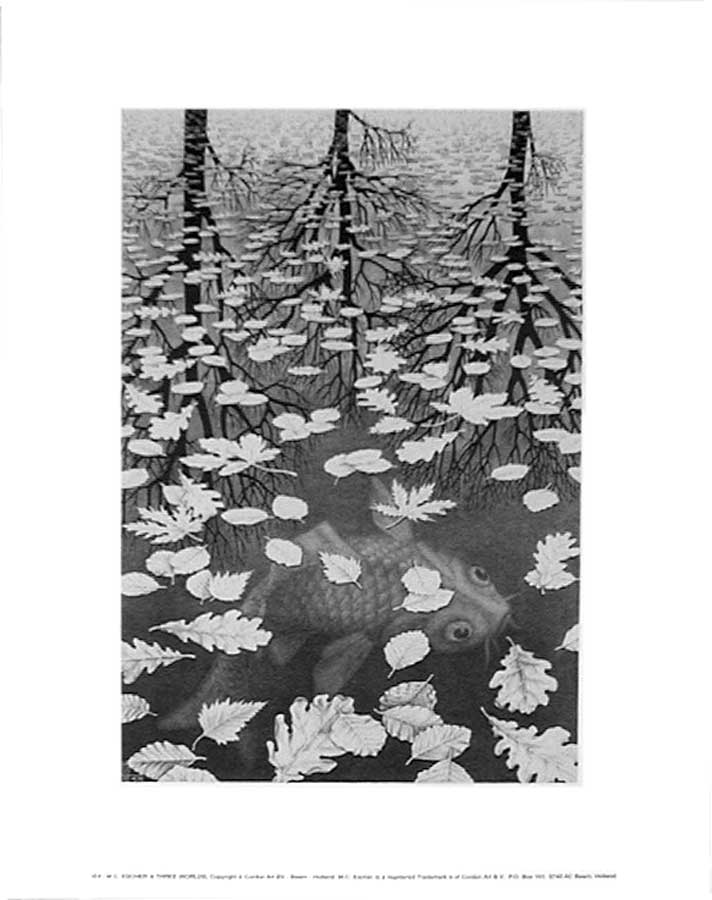 Wikioo.org - The Encyclopedia of Fine Arts - Painting, Artwork by Maurits Cornelis Escher - Three Worlds, 1955