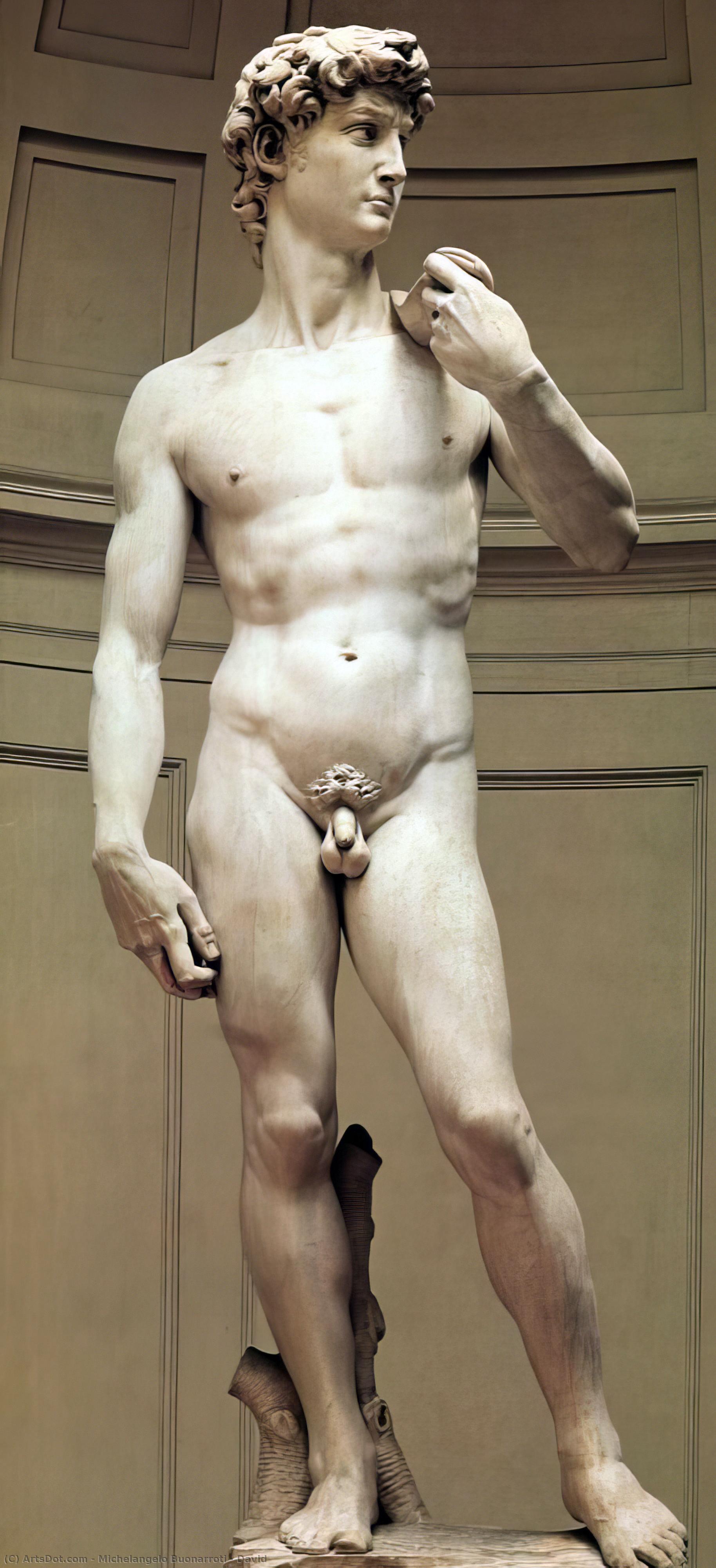 WikiOO.org - Encyclopedia of Fine Arts - Maleri, Artwork Michelangelo Buonarroti - David