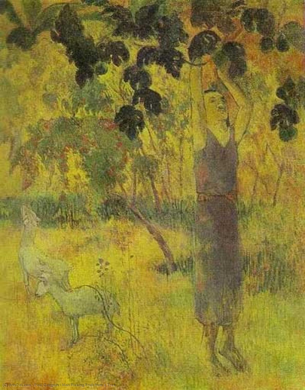WikiOO.org - אנציקלופדיה לאמנויות יפות - ציור, יצירות אמנות Paul Gauguin - Man Picking Fruit from a Tree
