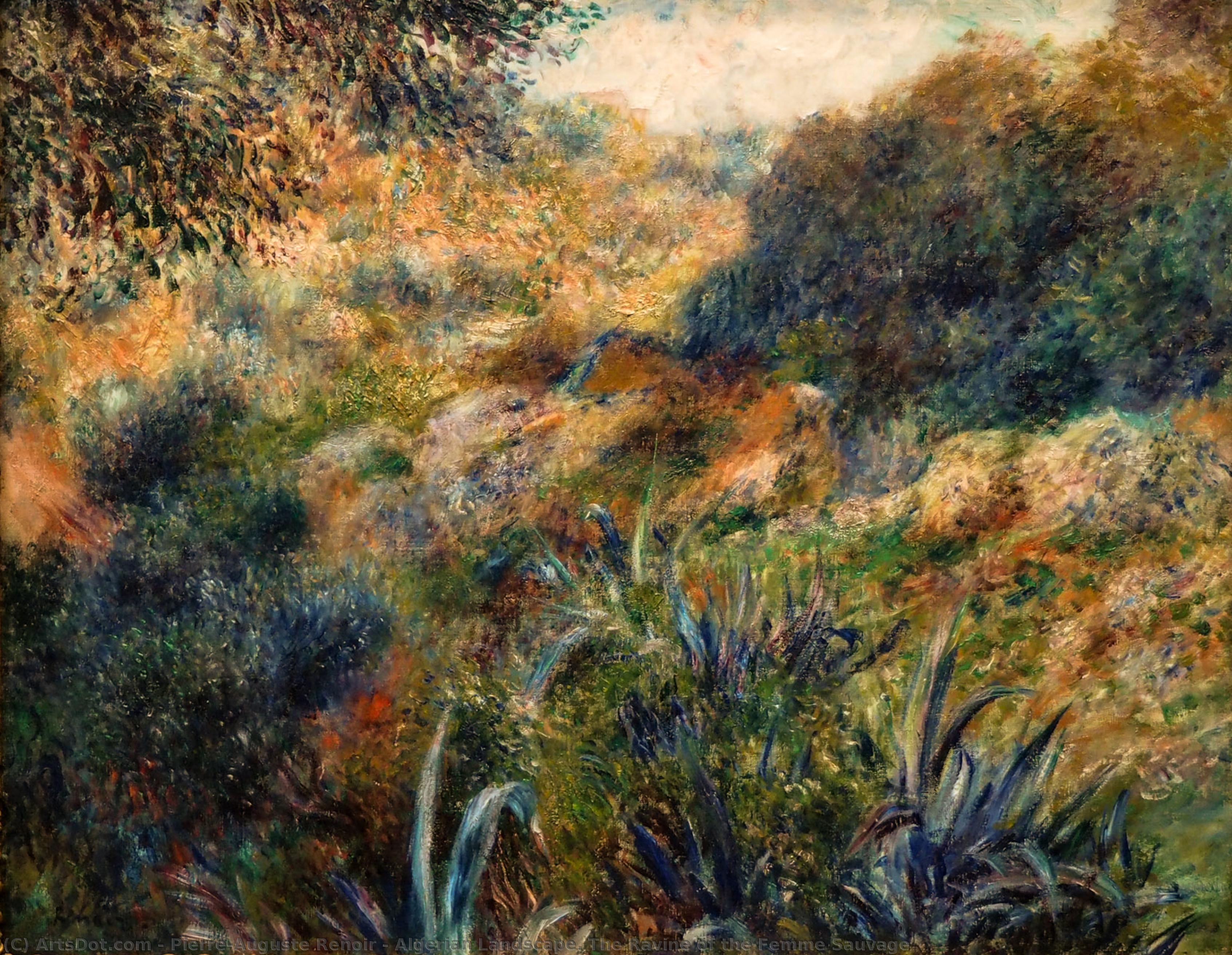 Wikioo.org – La Enciclopedia de las Bellas Artes - Pintura, Obras de arte de Pierre-Auguste Renoir - paisaje argelino . el barranco de la femme sauvage
