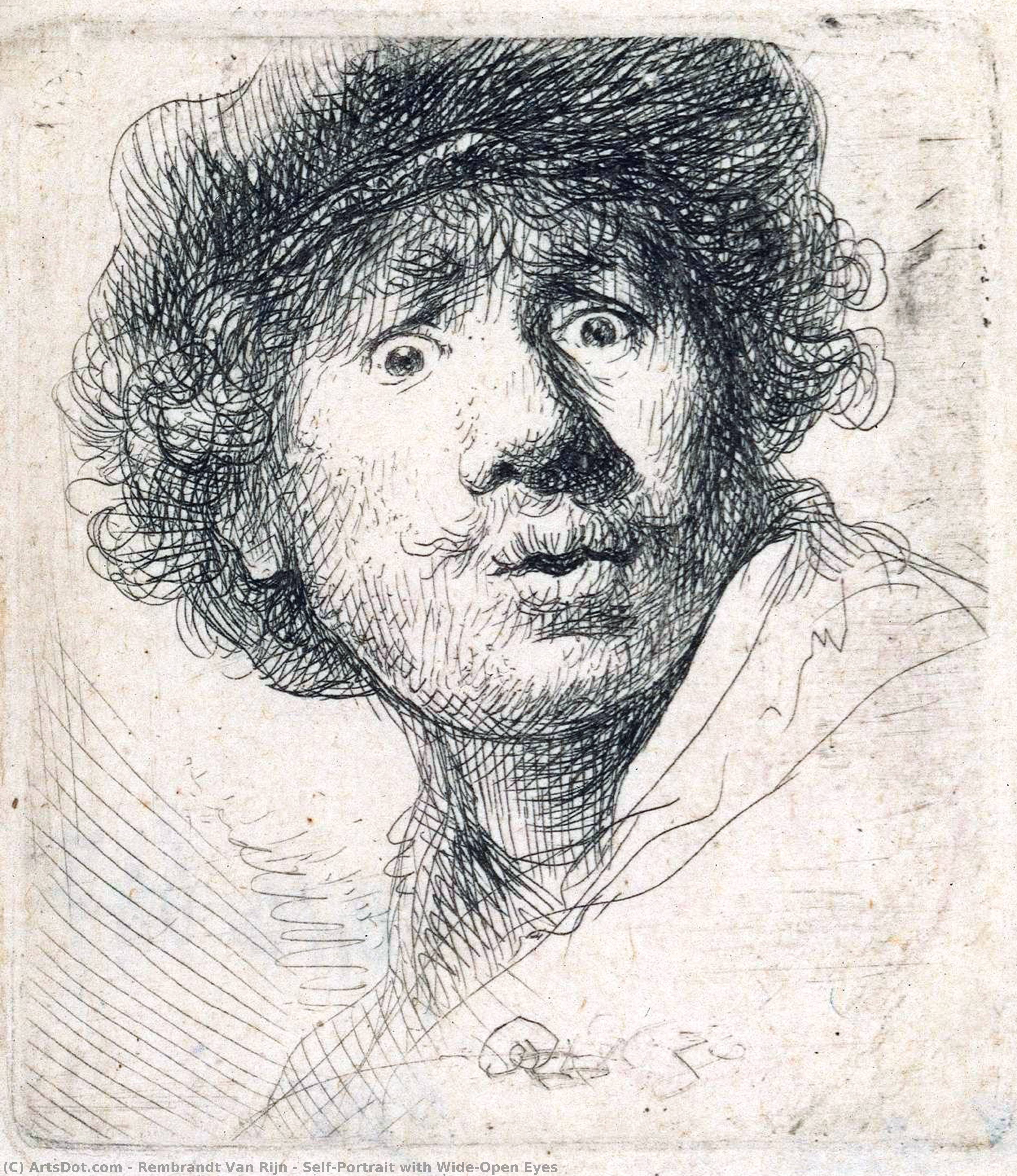 WikiOO.org - Encyclopedia of Fine Arts - Maleri, Artwork Rembrandt Van Rijn - Self-Portrait with Wide-Open Eyes