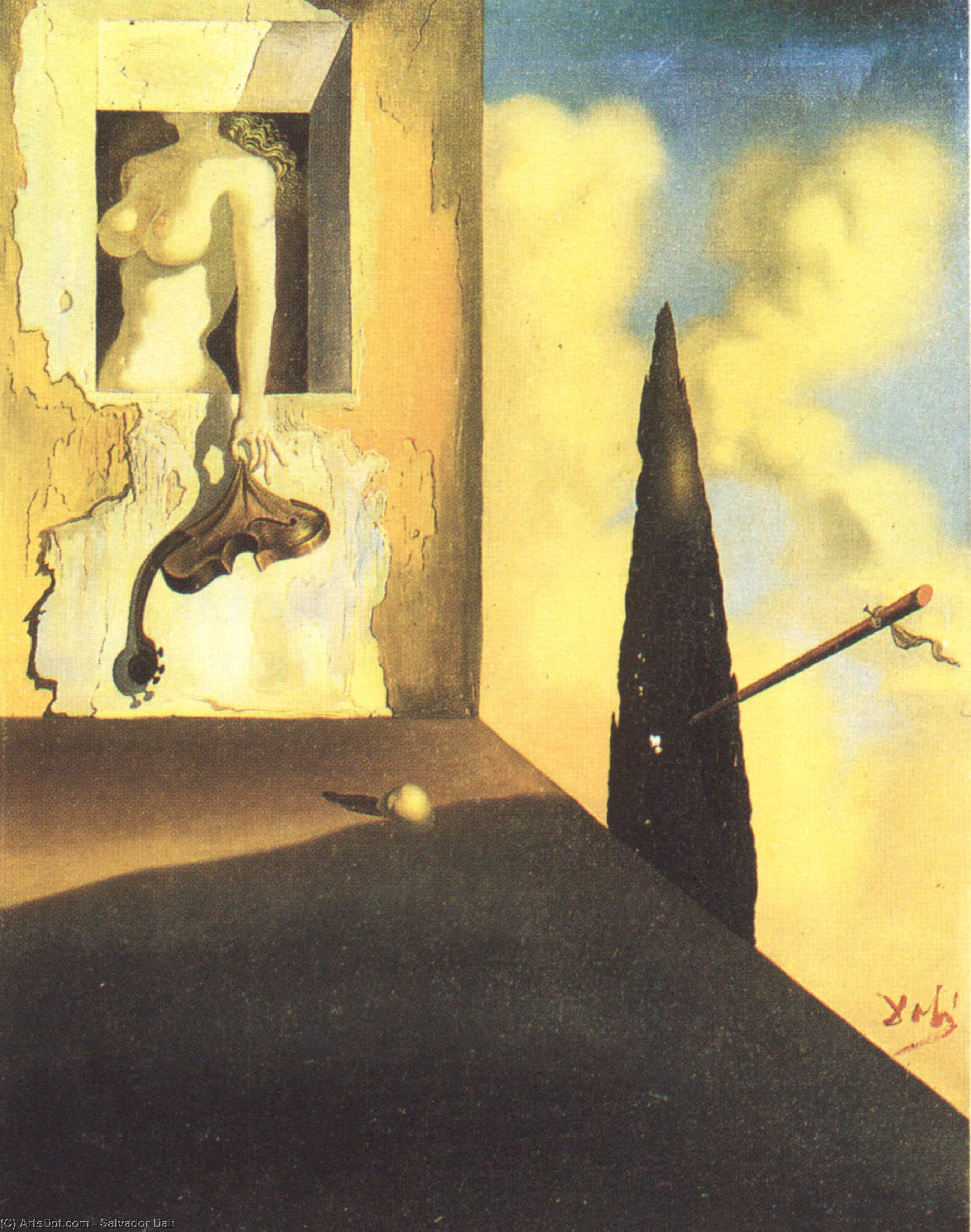 Wikioo.org - The Encyclopedia of Fine Arts - Painting, Artwork by Salvador Dali - Masochistic Instrument