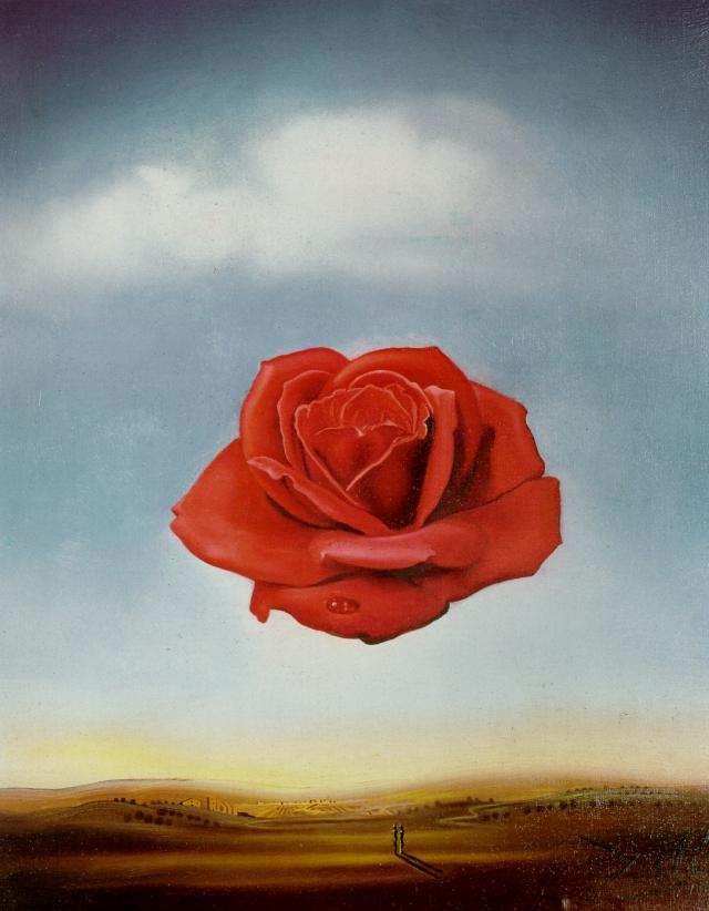 WikiOO.org - Encyclopedia of Fine Arts - Maleri, Artwork Salvador Dali - Meditative Rose