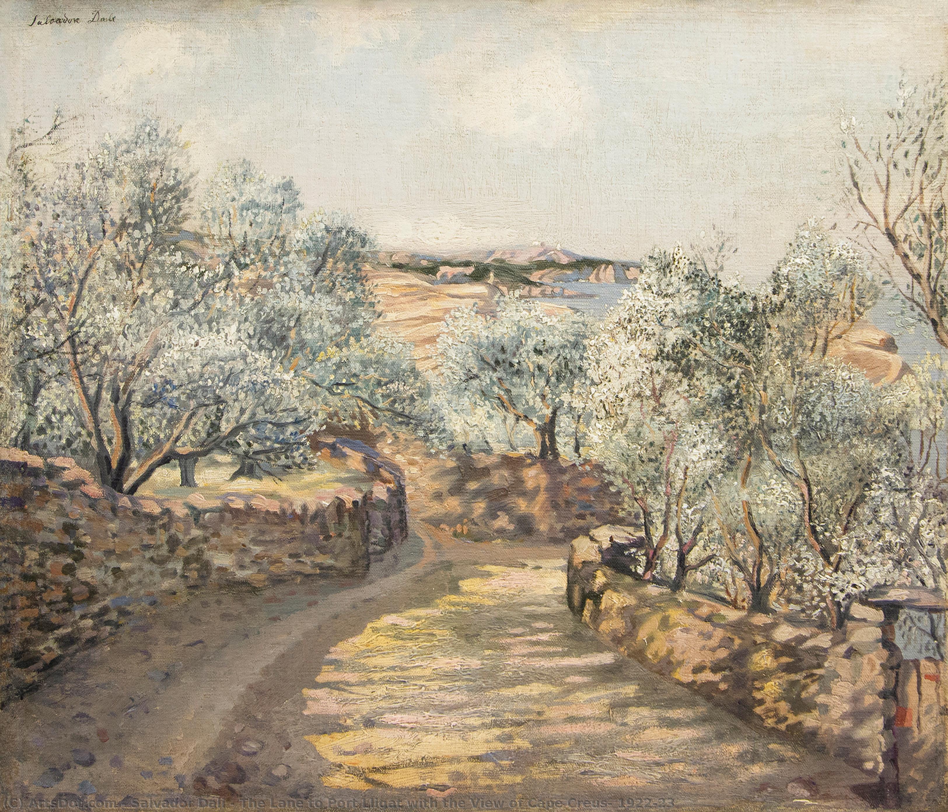 Wikioo.org - The Encyclopedia of Fine Arts - Painting, Artwork by Salvador Dali - The Lane to Port Lligat with the View of Cape Creus, 1922-23