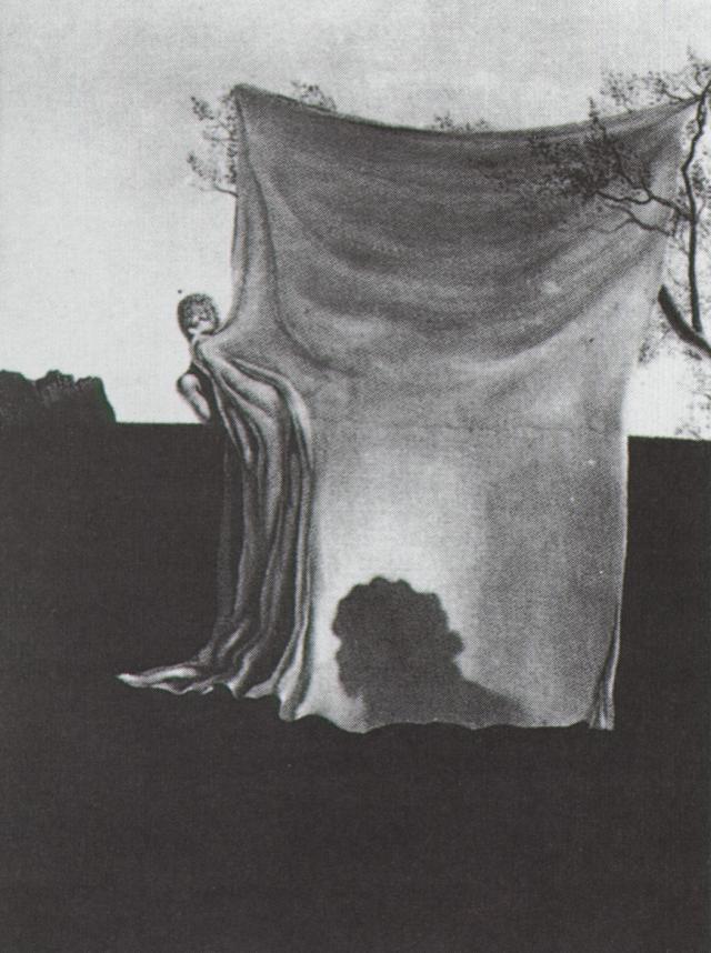 Wikioo.org - The Encyclopedia of Fine Arts - Painting, Artwork by Salvador Dali - The Feeling of Becoming, 1930
