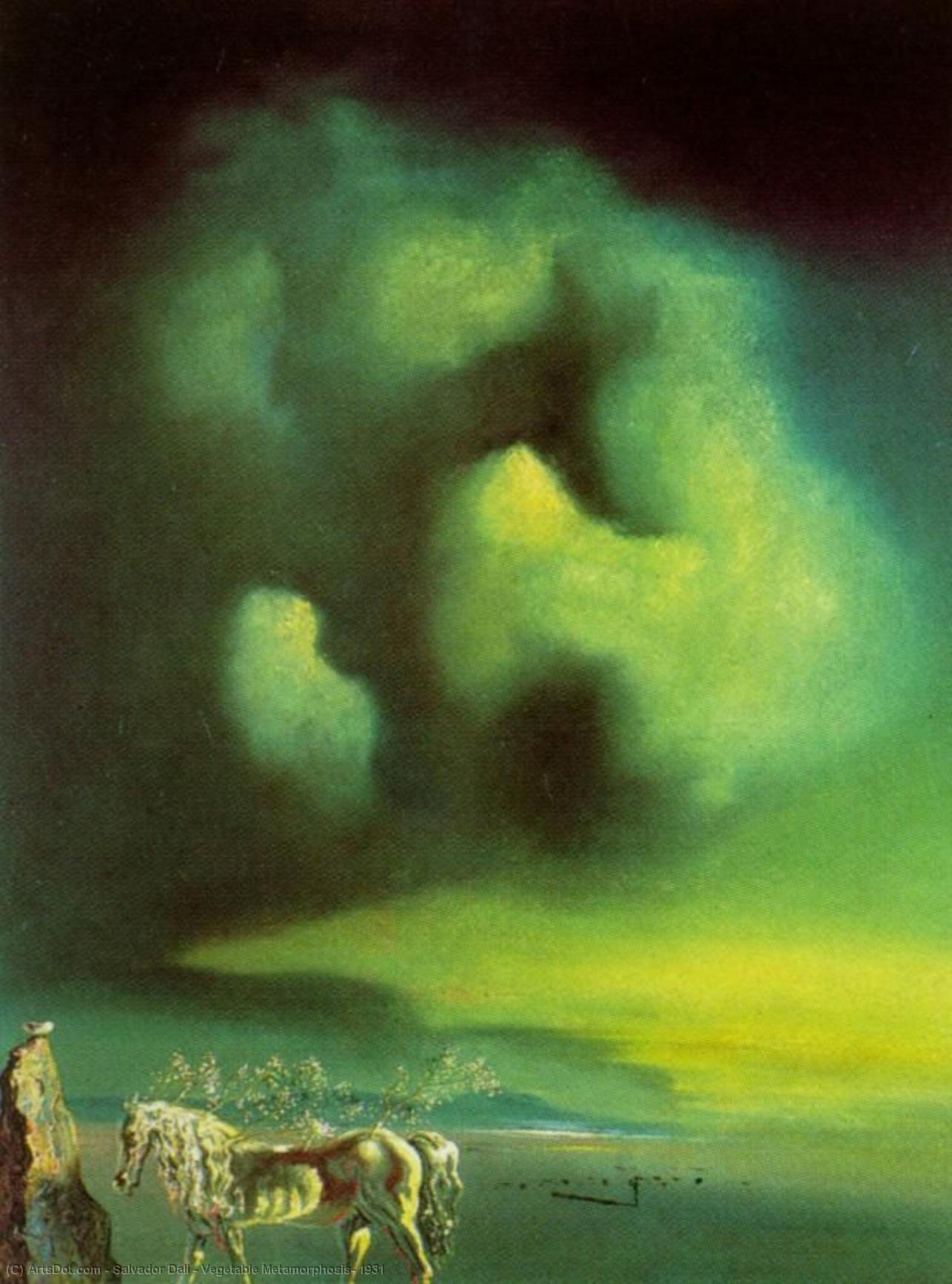 Wikoo.org - موسوعة الفنون الجميلة - اللوحة، العمل الفني Salvador Dali - Vegetable Metamorphosis, 1931