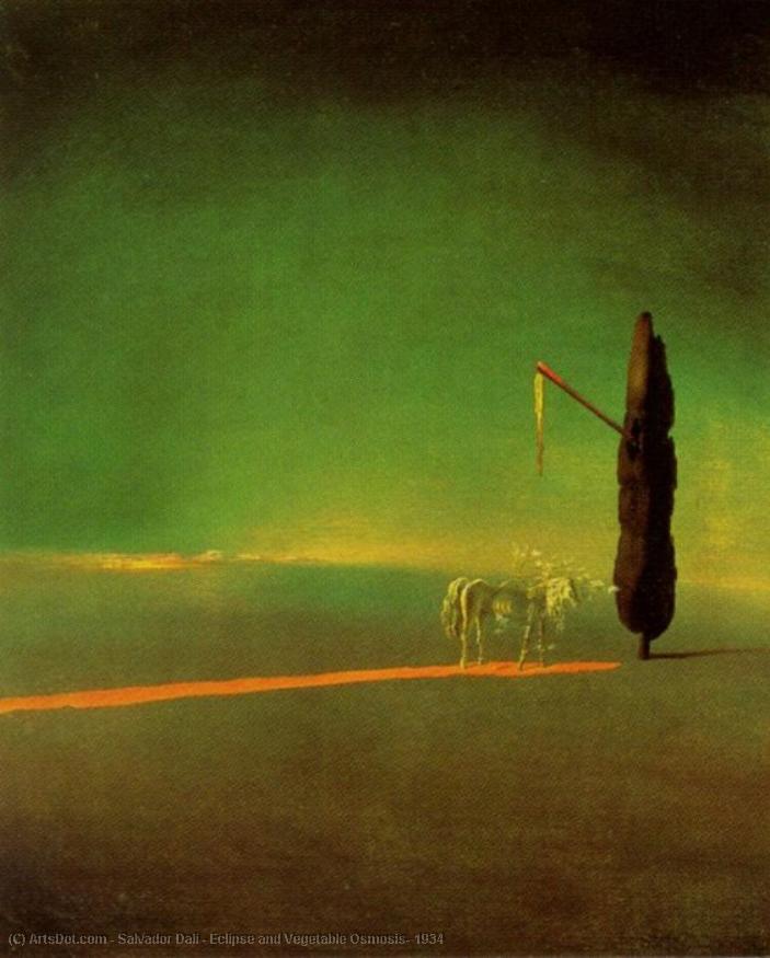 Wikioo.org - The Encyclopedia of Fine Arts - Painting, Artwork by Salvador Dali - Eclipse and Vegetable Osmosis, 1934