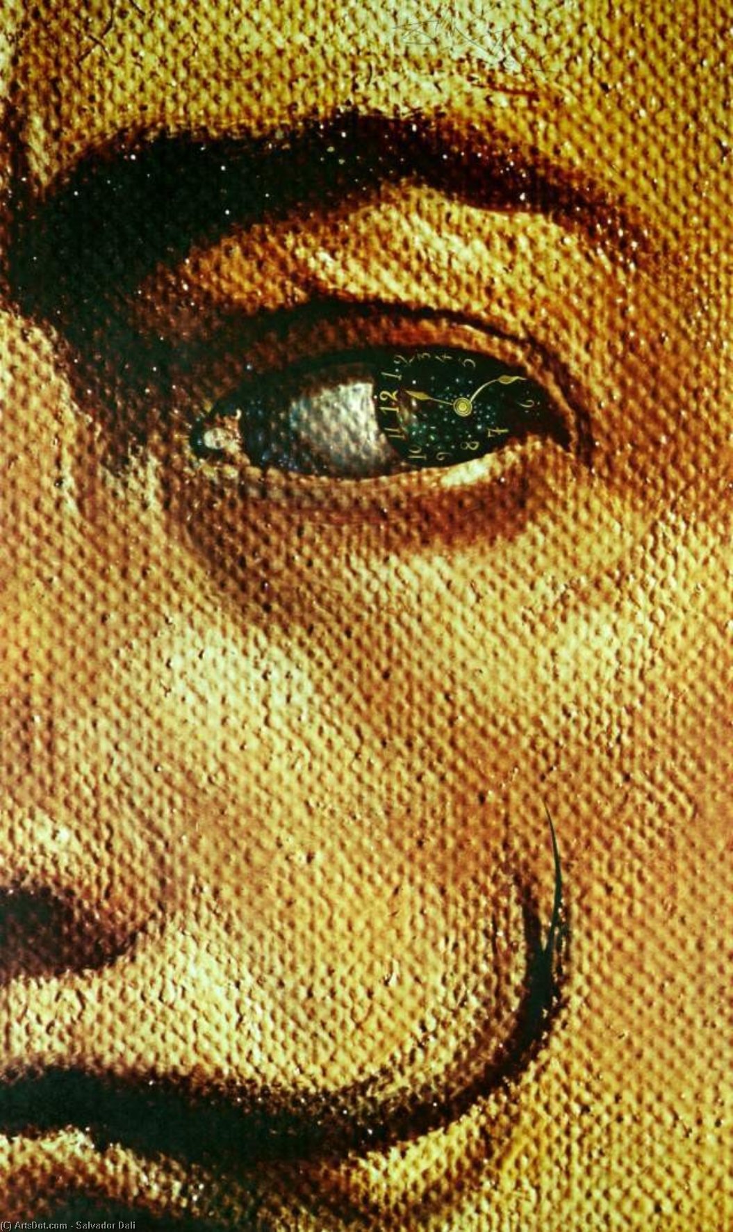 Wikioo.org - The Encyclopedia of Fine Arts - Painting, Artwork by Salvador Dali - Macrophotographic Self-Portrait with the Appearance of Gala, 1962