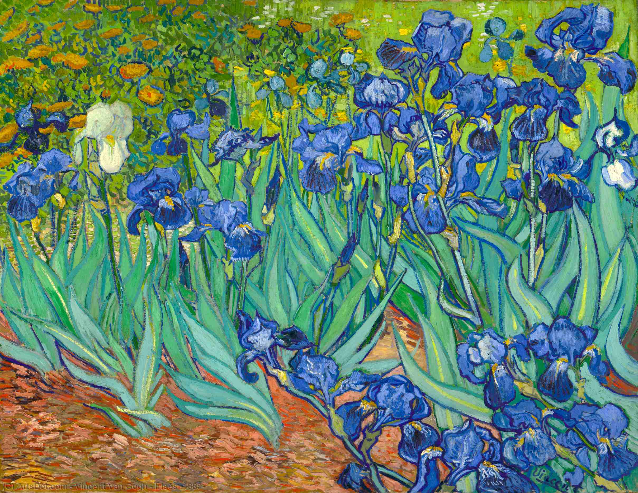 WikiOO.org - Encyclopedia of Fine Arts - Schilderen, Artwork Vincent Van Gogh - Irises [1889]