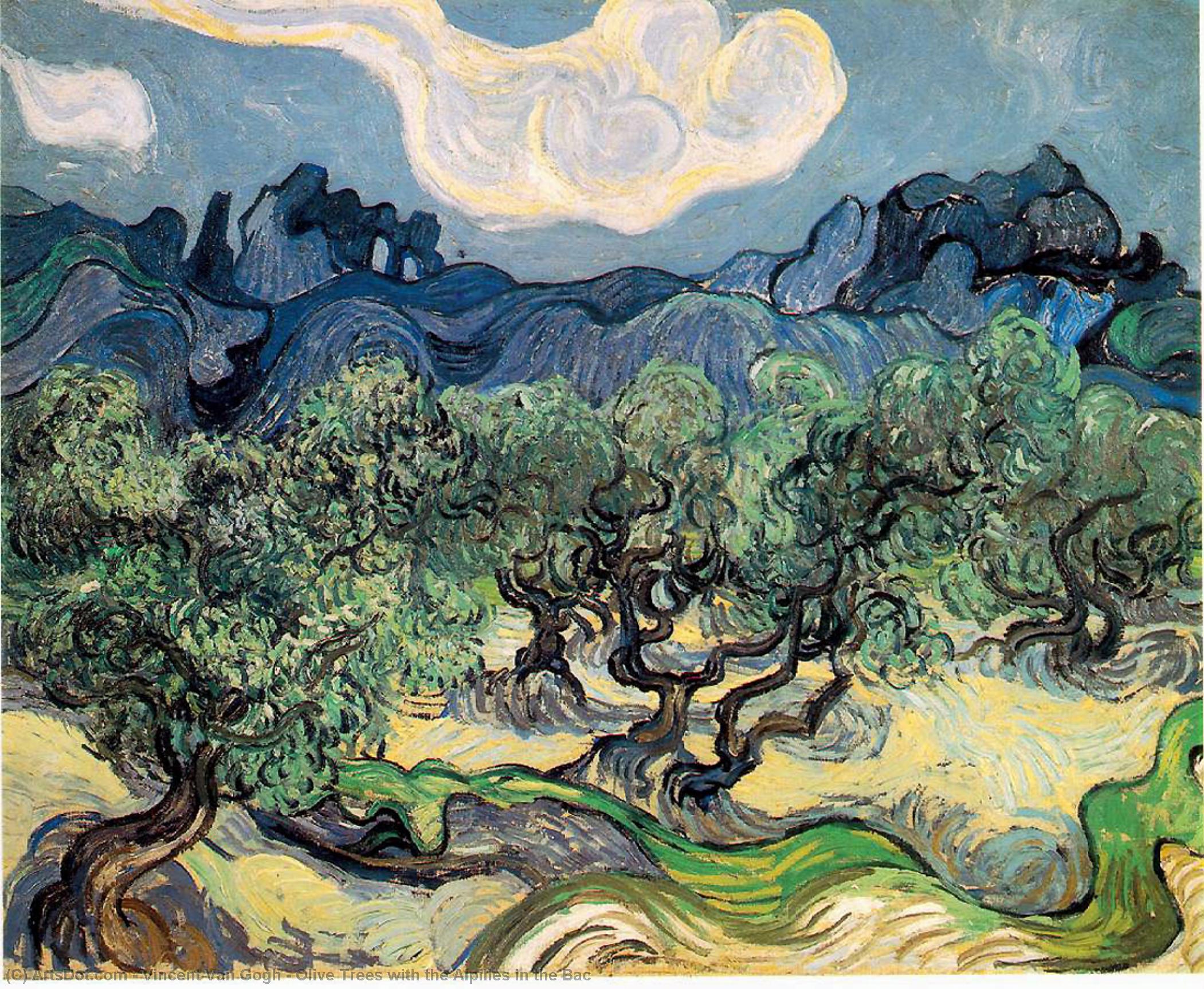 Wikioo.org – L'Encyclopédie des Beaux Arts - Peinture, Oeuvre de Vincent Van Gogh - Oliviers avec les Alpilles dans le Bac