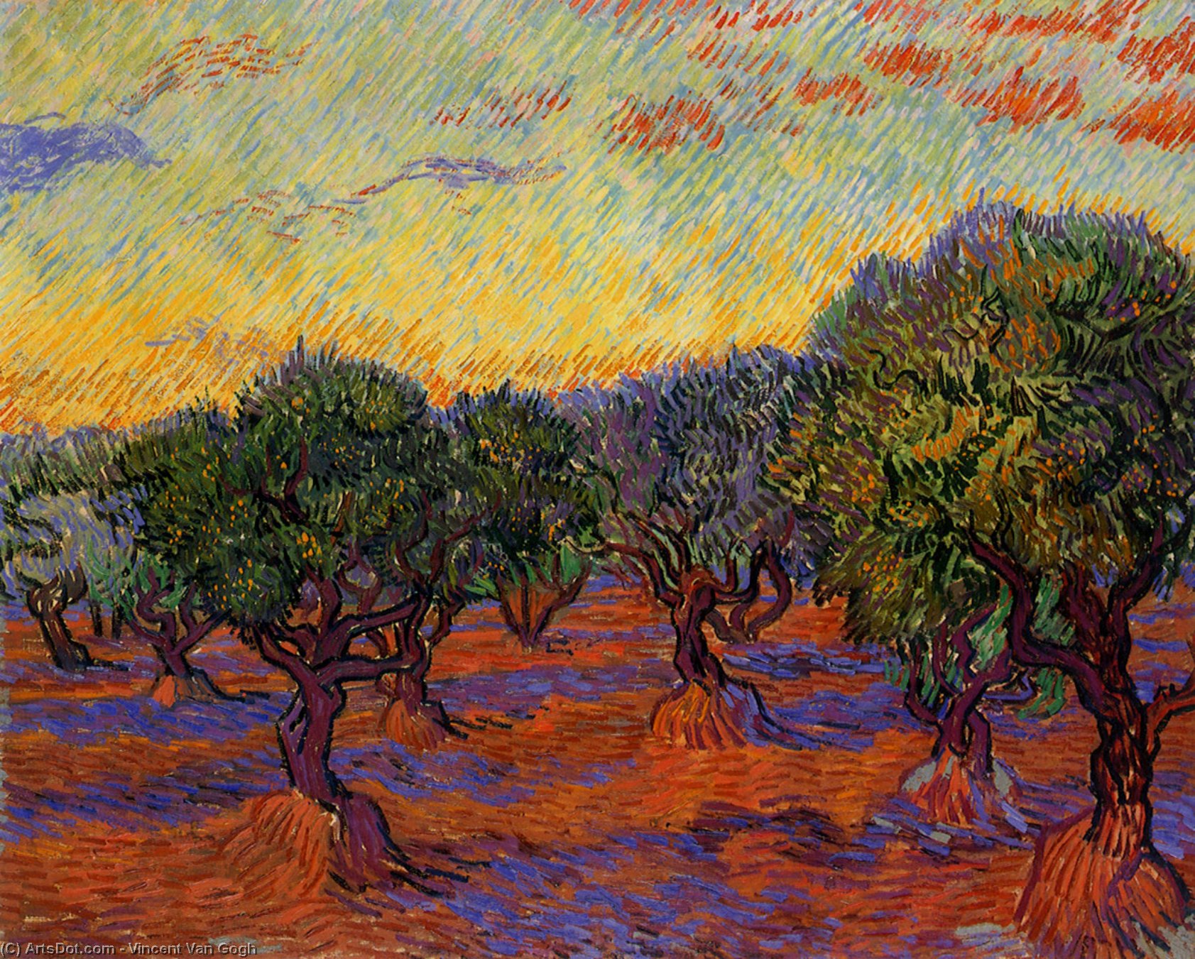WikiOO.org - Encyclopedia of Fine Arts - Schilderen, Artwork Vincent Van Gogh - Olive Trees [1889]