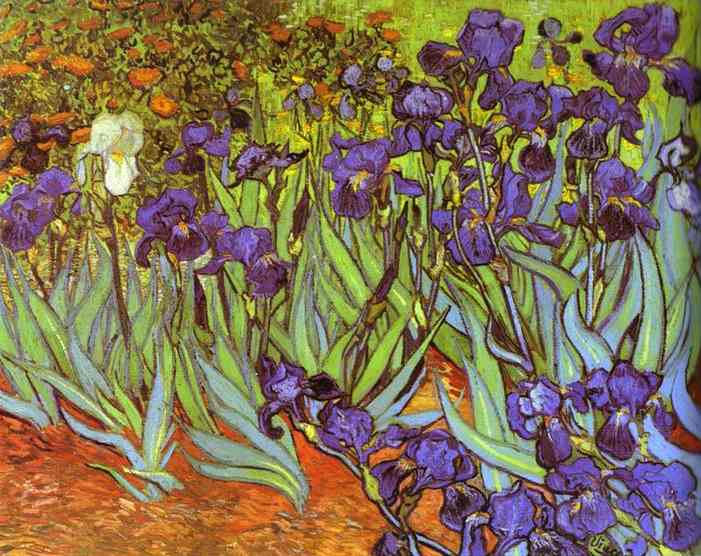 Wikioo.org - The Encyclopedia of Fine Arts - Painting, Artwork by Vincent Van Gogh - Irises. Sait-Rémy