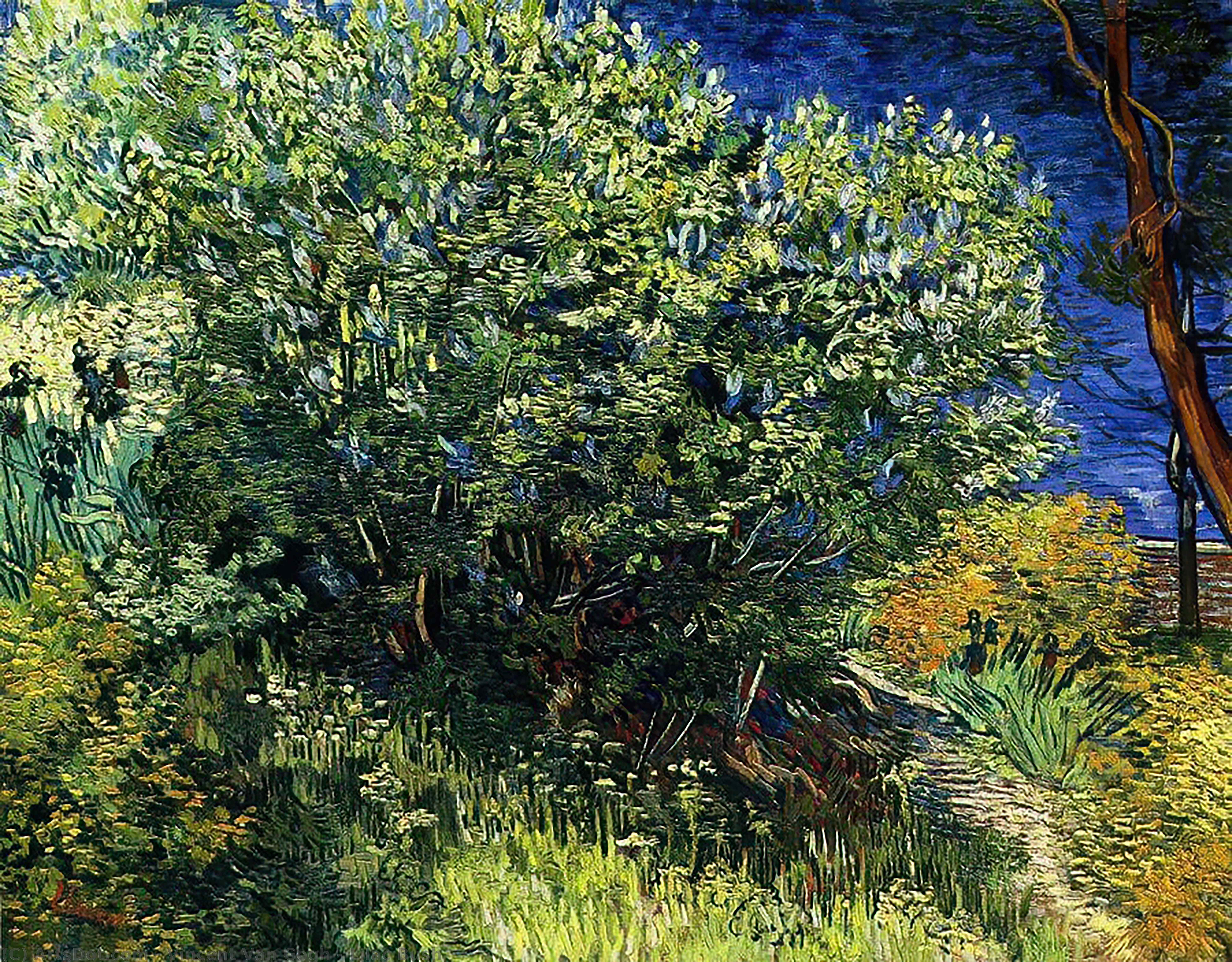 WikiOO.org - دایره المعارف هنرهای زیبا - نقاشی، آثار هنری Vincent Van Gogh - Lilac Bush