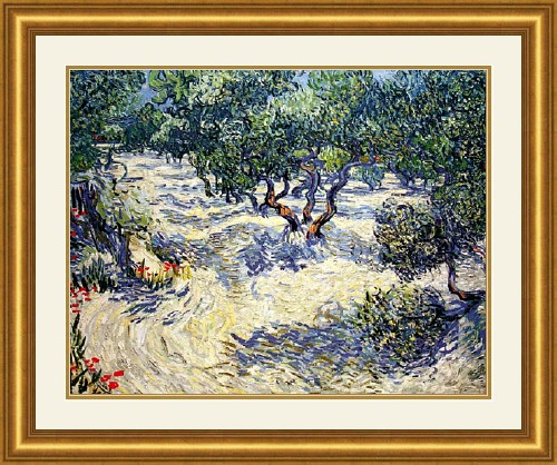 WikiOO.org - Encyclopedia of Fine Arts - Maleri, Artwork Vincent Van Gogh - Olive Orchard