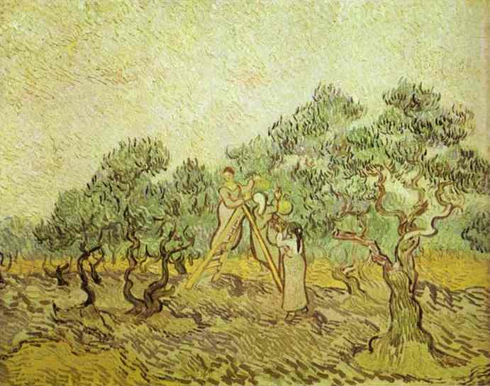 WikiOO.org - Encyclopedia of Fine Arts - Maalaus, taideteos Vincent Van Gogh - The Olive Orchard