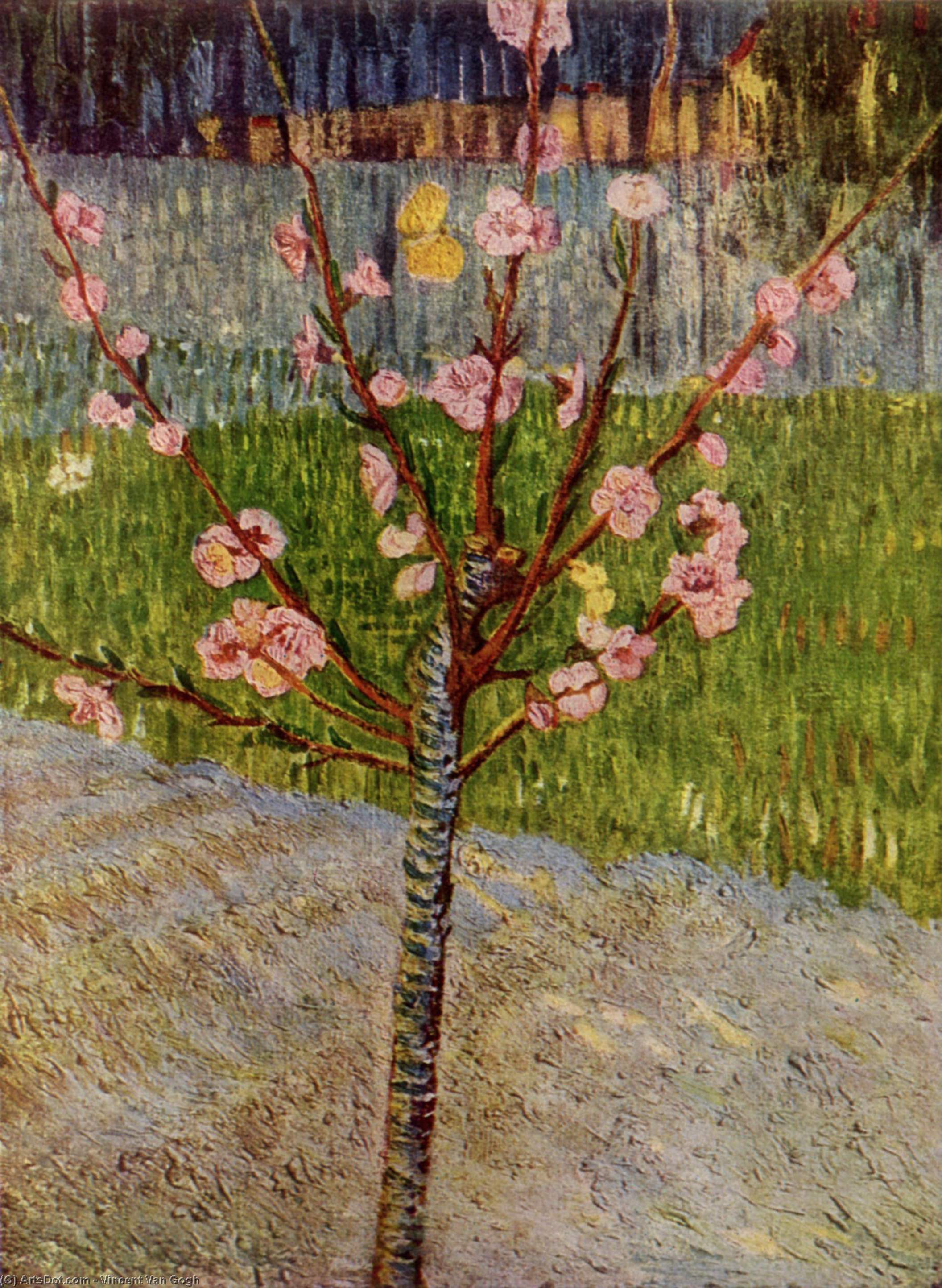 Wikoo.org - موسوعة الفنون الجميلة - اللوحة، العمل الفني Vincent Van Gogh - Almond Tree in Blossom