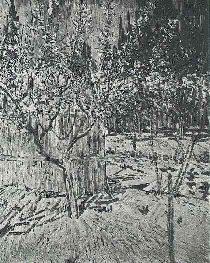 WikiOO.org - Enciklopedija dailės - Tapyba, meno kuriniai Vincent Van Gogh - Apricot Trees in Blossom