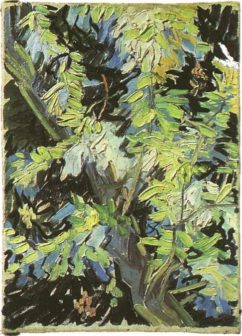 WikiOO.org - 百科事典 - 絵画、アートワーク Vincent Van Gogh - 満開のアカシアの枝