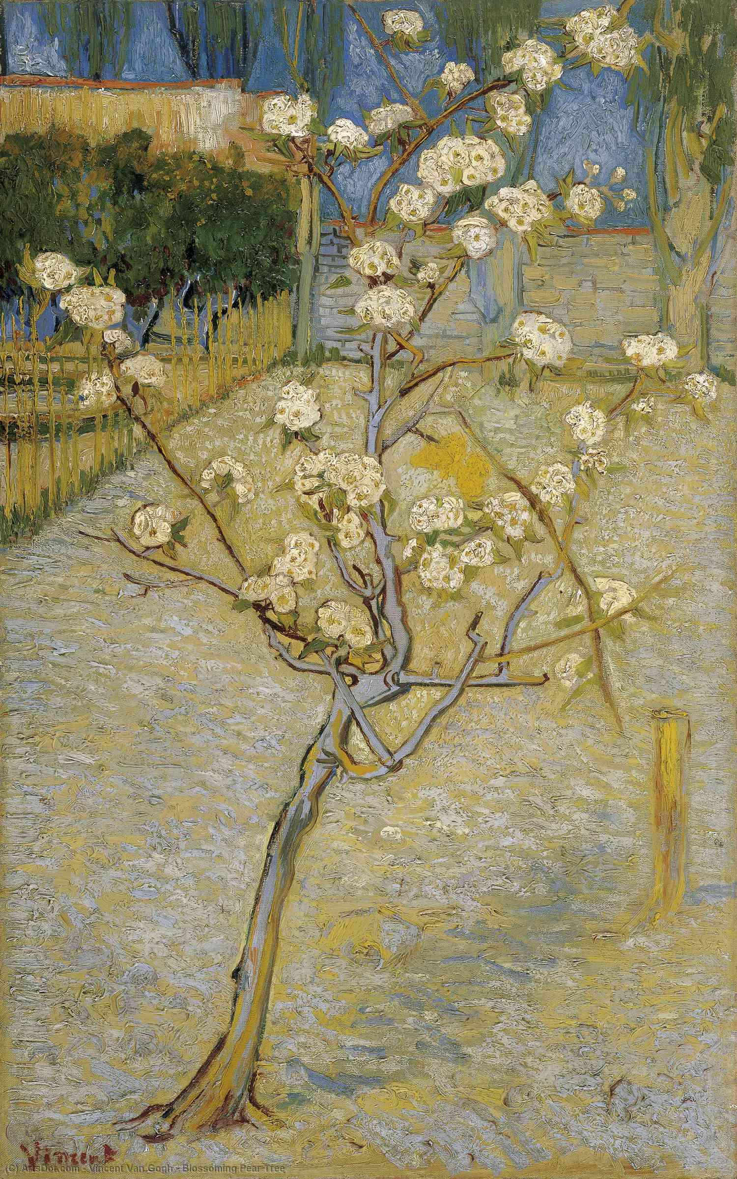 WikiOO.org - Encyclopedia of Fine Arts - Maleri, Artwork Vincent Van Gogh - Blossoming Pear Tree