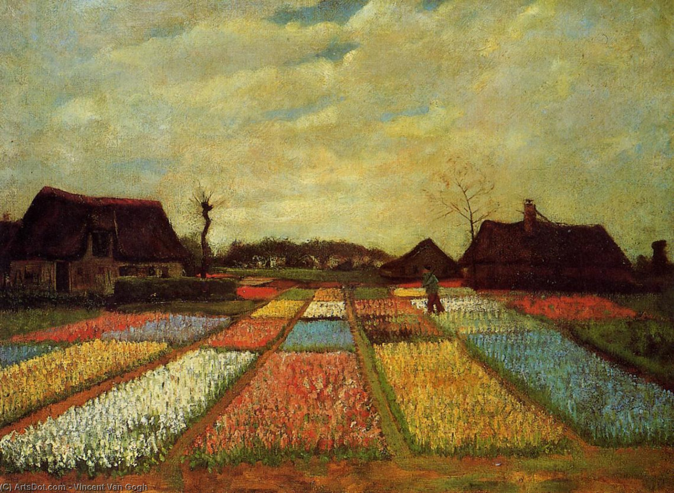 Wikioo.org – La Enciclopedia de las Bellas Artes - Pintura, Obras de arte de Vincent Van Gogh - Los campos del bulbo
