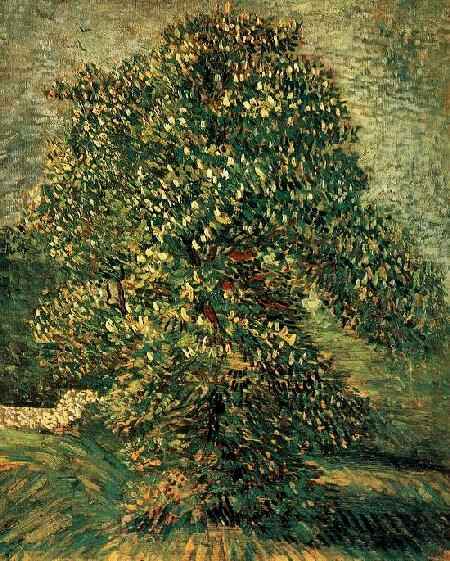 WikiOO.org - Енциклопедія образотворчого мистецтва - Живопис, Картини
 Vincent Van Gogh - Chestnut Tree in Blossom 3
