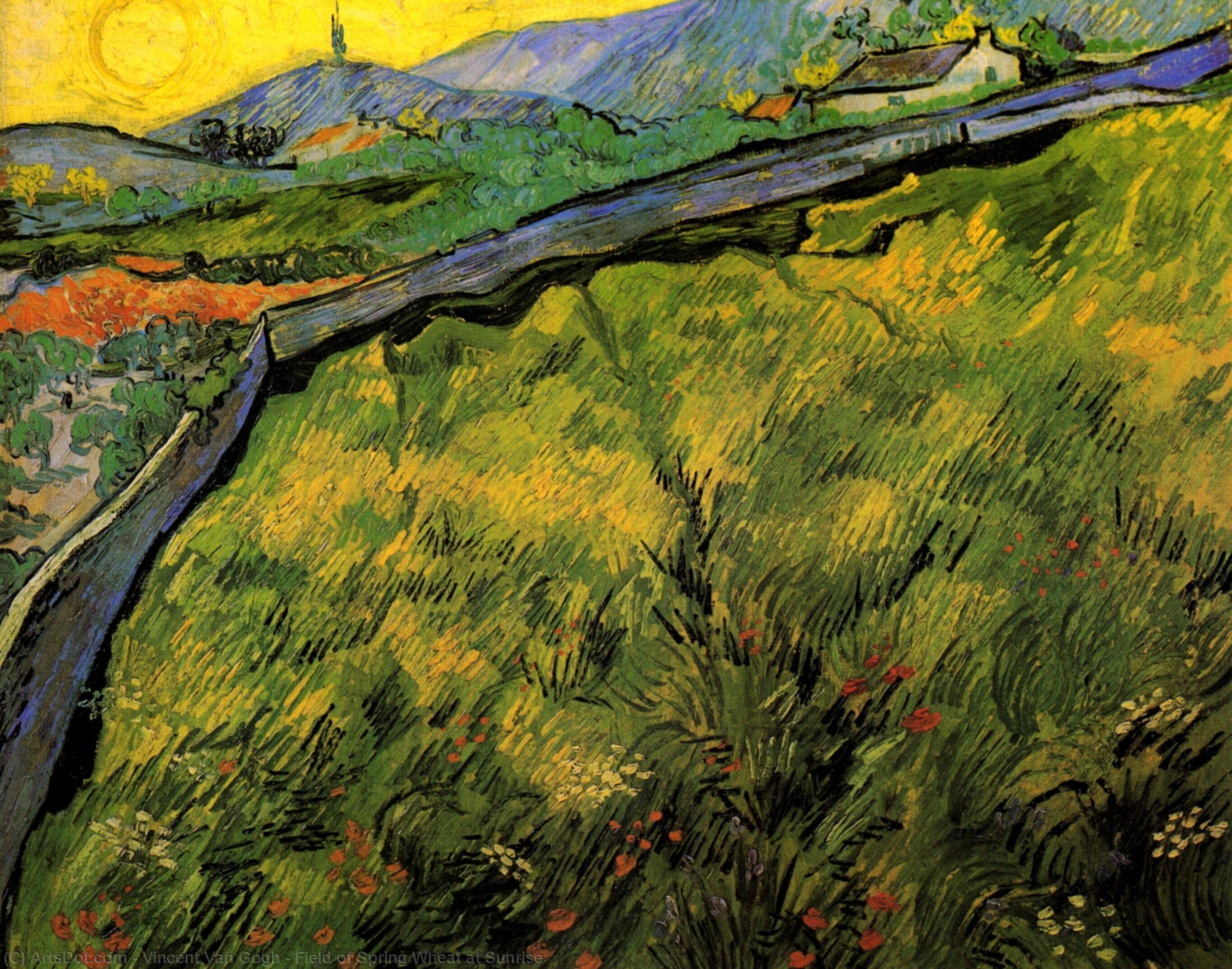 Wikioo.org - The Encyclopedia of Fine Arts - Painting, Artwork by Vincent Van Gogh - Field of Spring Wheat at Sunrise