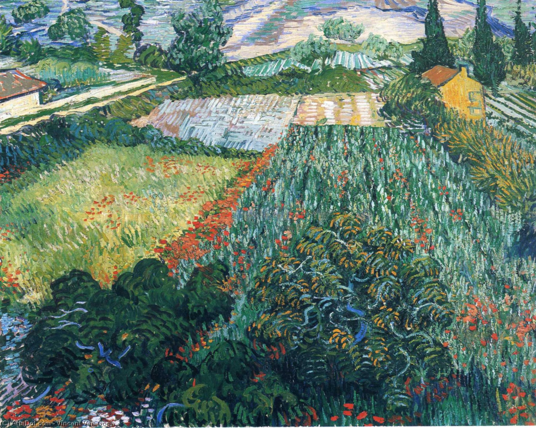 Wikioo.org - The Encyclopedia of Fine Arts - Painting, Artwork by Vincent Van Gogh - Field with Poppies