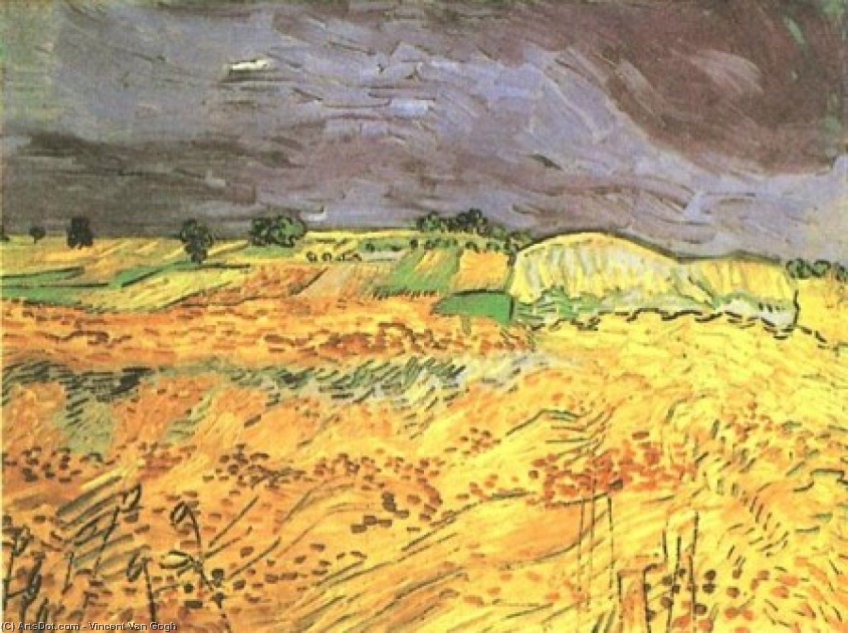 Wikioo.org - The Encyclopedia of Fine Arts - Painting, Artwork by Vincent Van Gogh - Fields, The