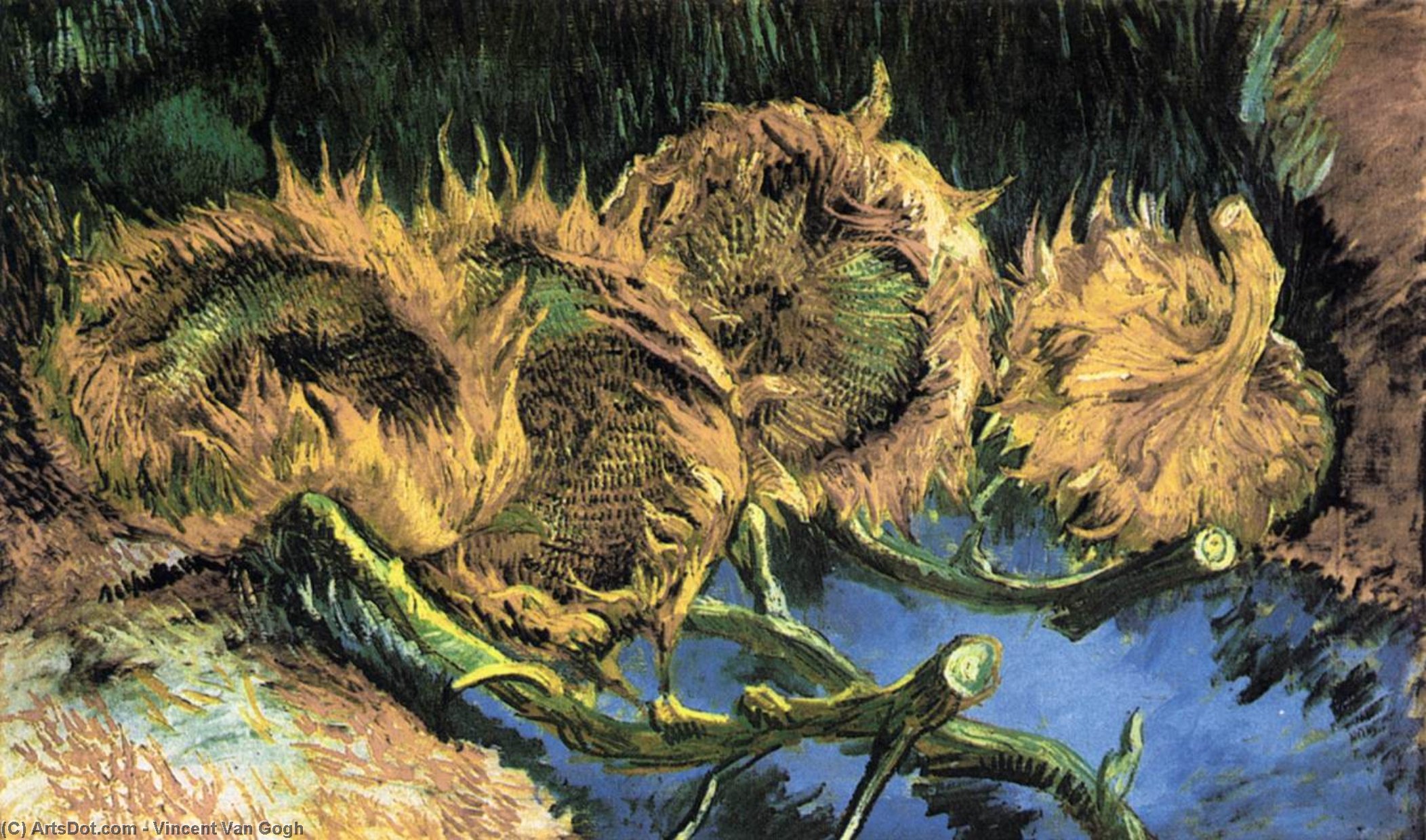 Wikioo.org - The Encyclopedia of Fine Arts - Painting, Artwork by Vincent Van Gogh - Four Cut Sunflowers