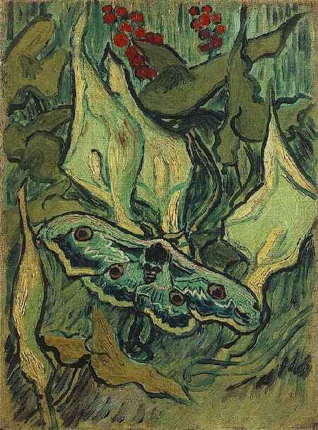 Wikioo.org – L'Enciclopedia delle Belle Arti - Pittura, Opere di Vincent Van Gogh - Grande Peacock Moth