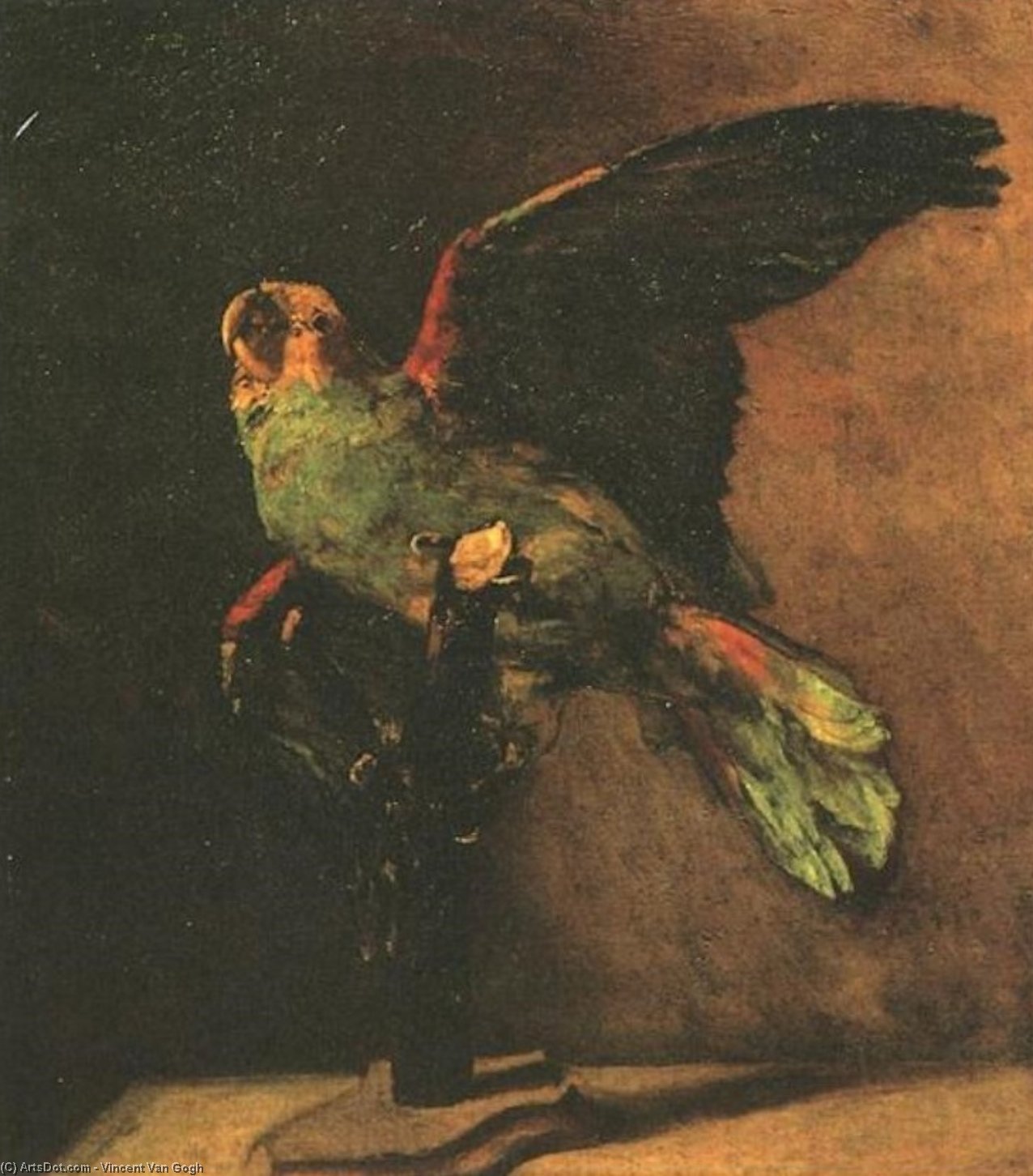 Wikioo.org - The Encyclopedia of Fine Arts - Painting, Artwork by Vincent Van Gogh - Green Parrot, The