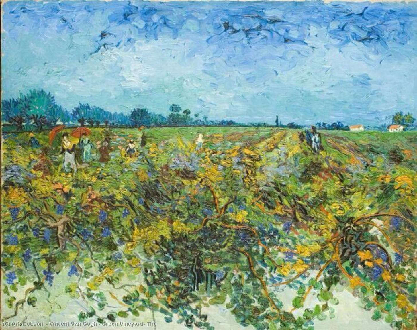 WikiOO.org - Encyclopedia of Fine Arts - Lukisan, Artwork Vincent Van Gogh - Green Vineyard, The