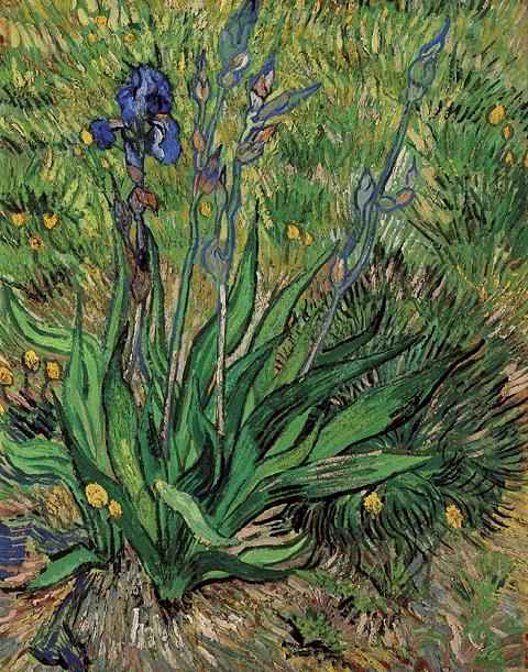 Wikioo.org – La Enciclopedia de las Bellas Artes - Pintura, Obras de arte de Vincent Van Gogh - Iris, La