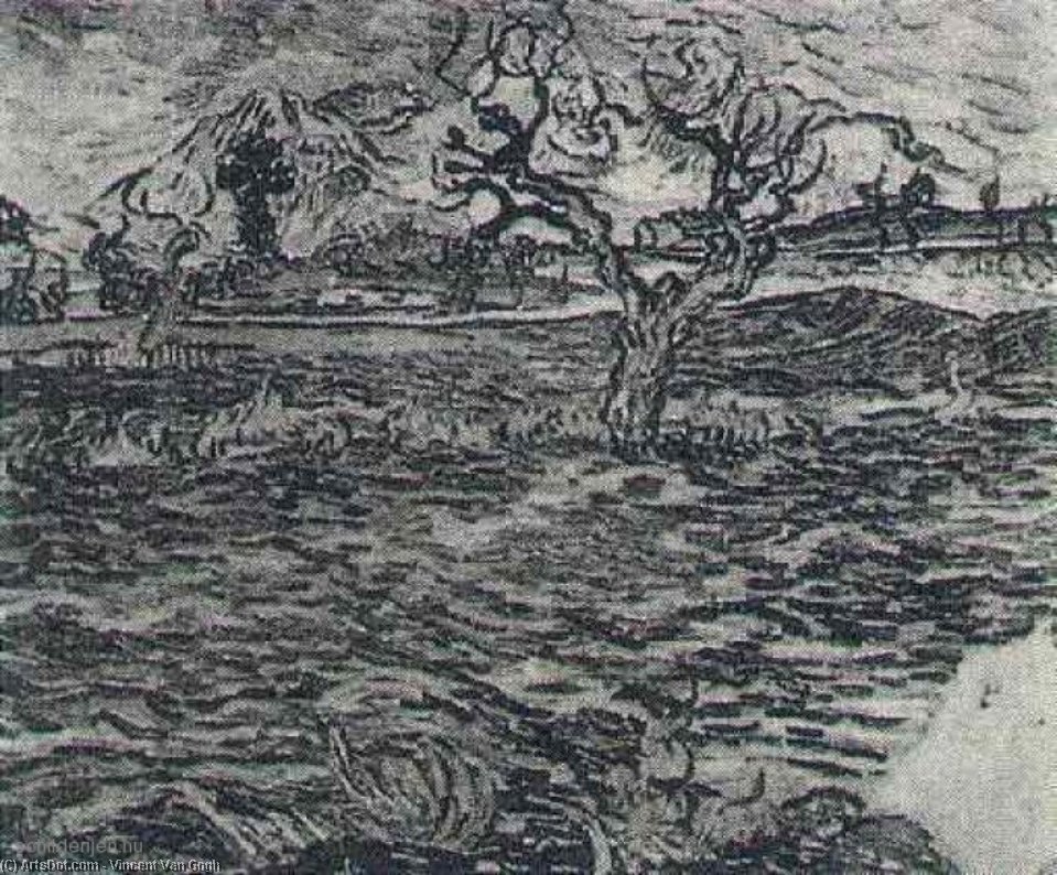 Wikioo.org - The Encyclopedia of Fine Arts - Painting, Artwork by Vincent Van Gogh - Landscape with Olive Tree and Mountains in the Background