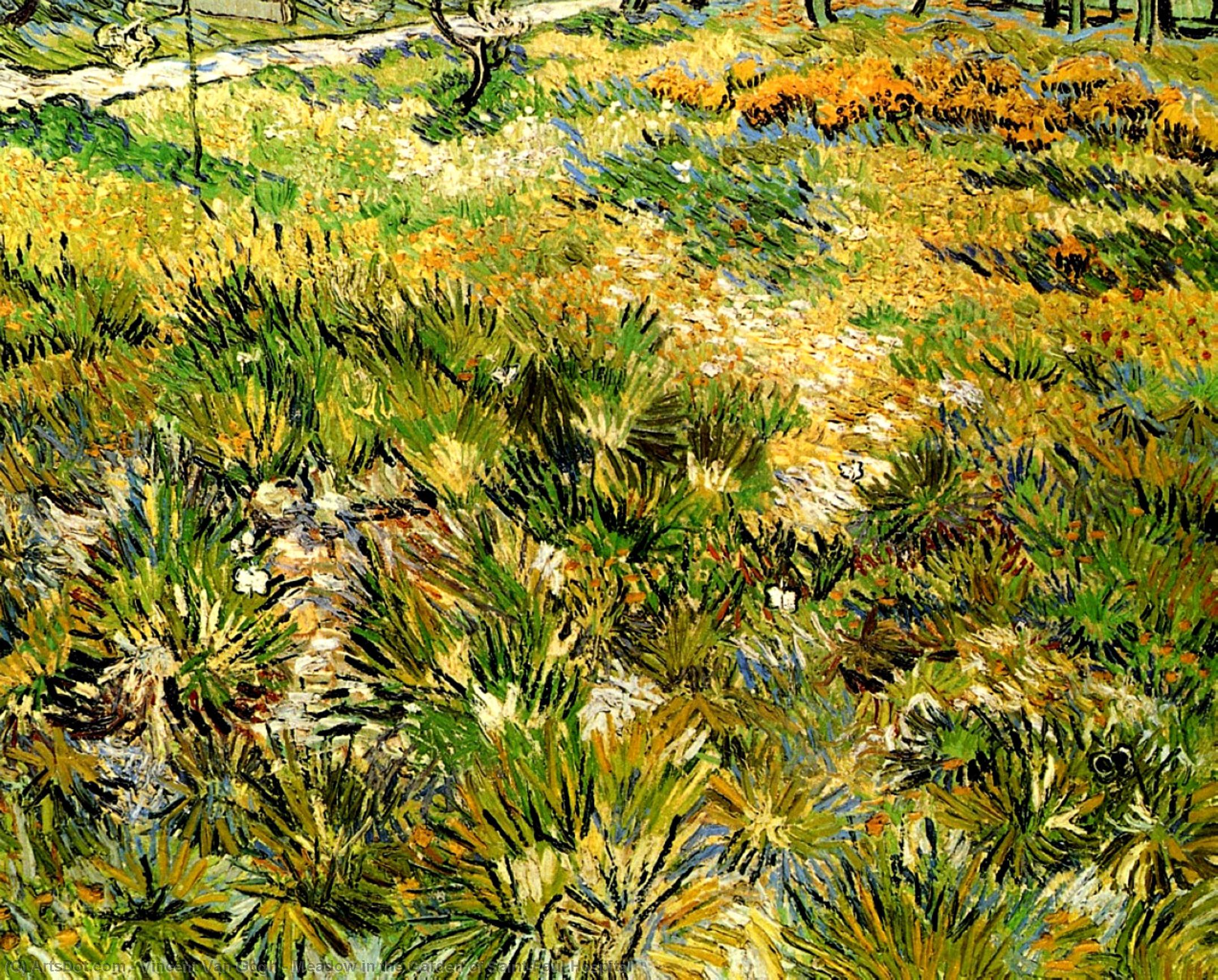 WikiOO.org - Güzel Sanatlar Ansiklopedisi - Resim, Resimler Vincent Van Gogh - Meadow in the Garden of Saint-Paul Hospital