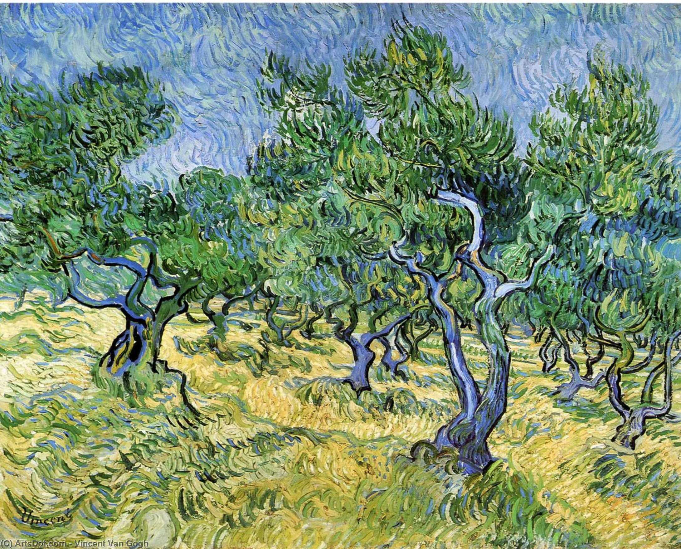 WikiOO.org - 百科事典 - 絵画、アートワーク Vincent Van Gogh - オリーブグローブ