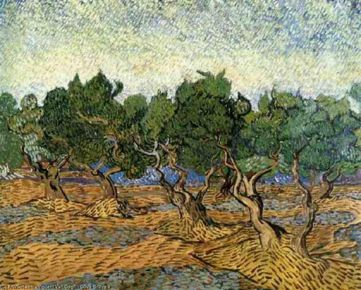 Wikioo.org - สารานุกรมวิจิตรศิลป์ - จิตรกรรม Vincent Van Gogh - Olive Grove 3