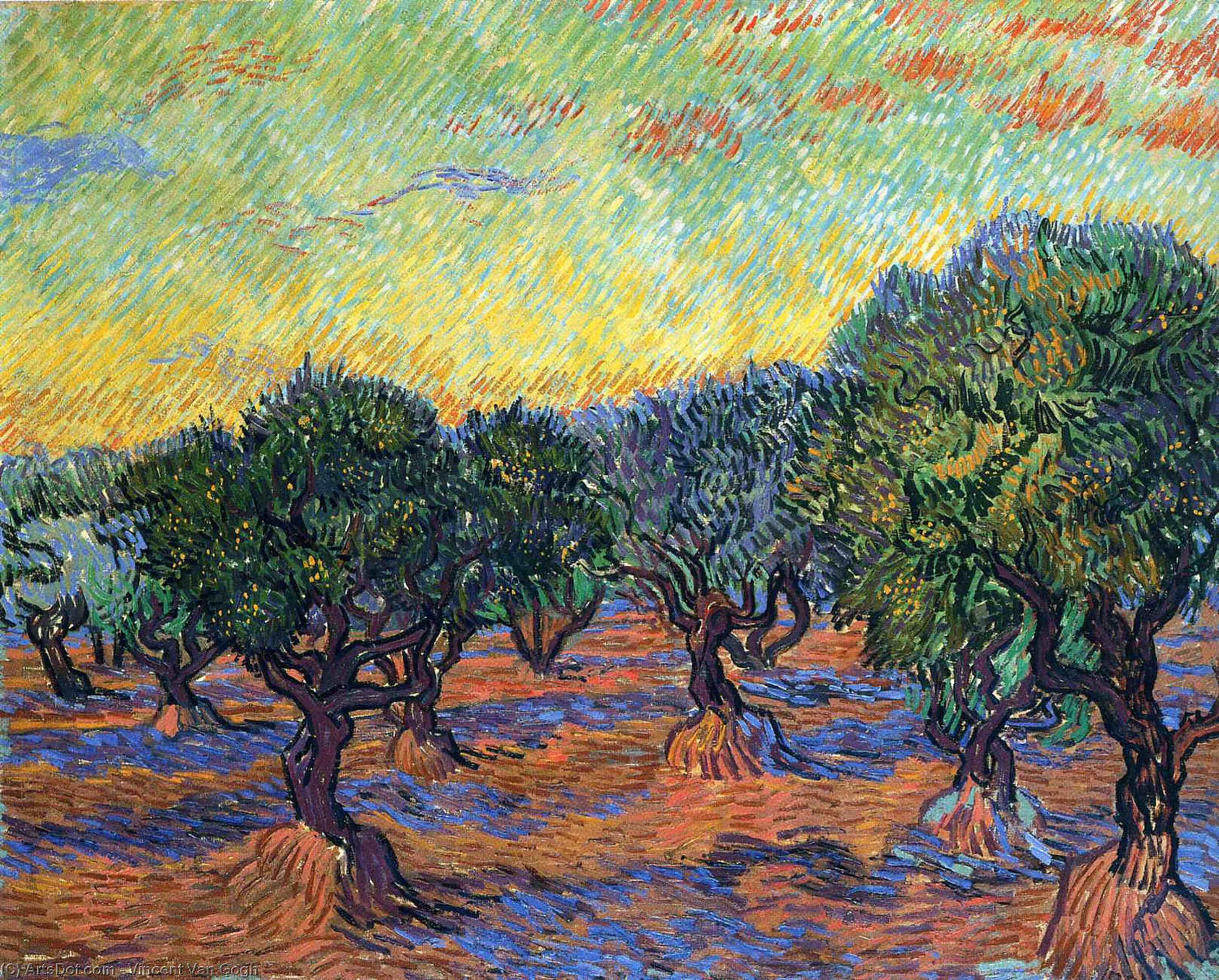 Wikoo.org - موسوعة الفنون الجميلة - اللوحة، العمل الفني Vincent Van Gogh - Olive Grove - Orange Sky