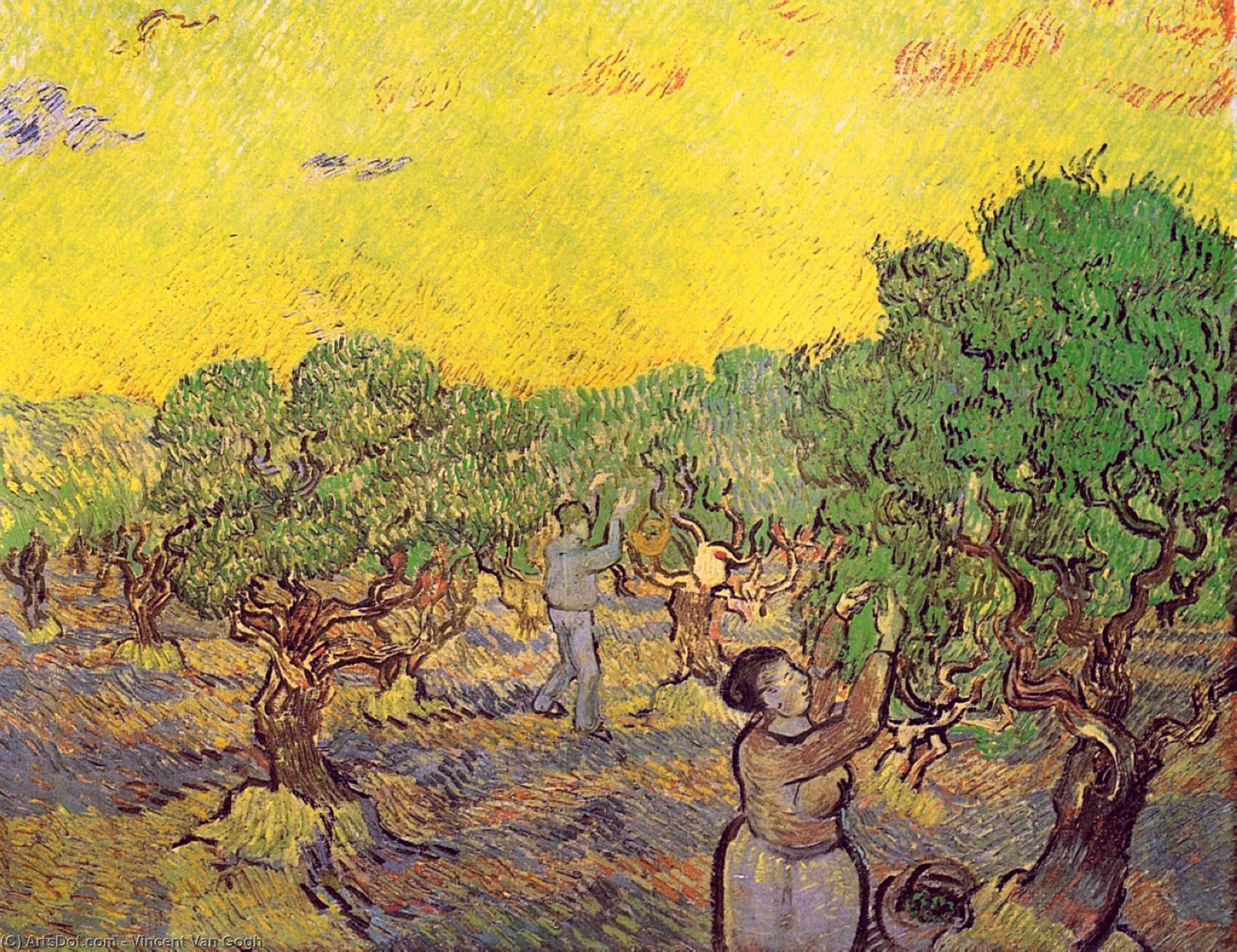 Wikioo.org – La Enciclopedia de las Bellas Artes - Pintura, Obras de arte de Vincent Van Gogh - Arboleda verde oliva con figuras de la cosecha