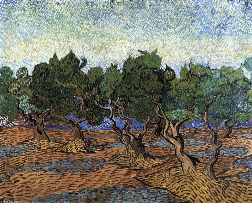 Wikioo.org - The Encyclopedia of Fine Arts - Painting, Artwork by Vincent Van Gogh - Olive Grove
