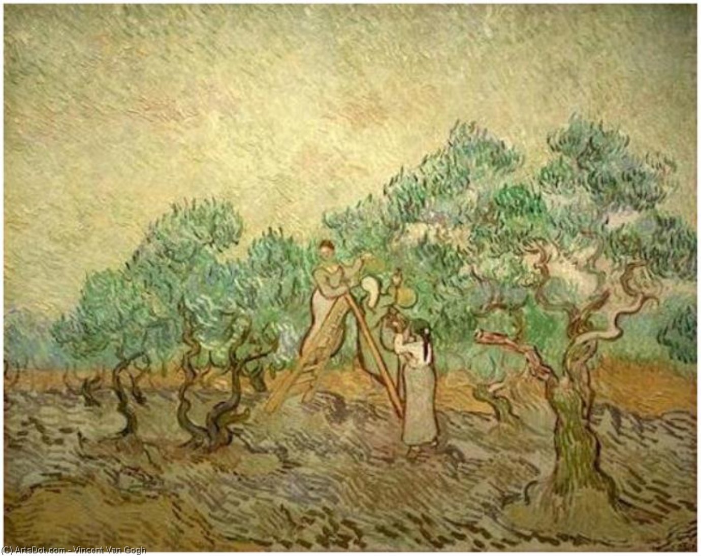 WikiOO.org - Encyclopedia of Fine Arts - Schilderen, Artwork Vincent Van Gogh - Olive Picking 5