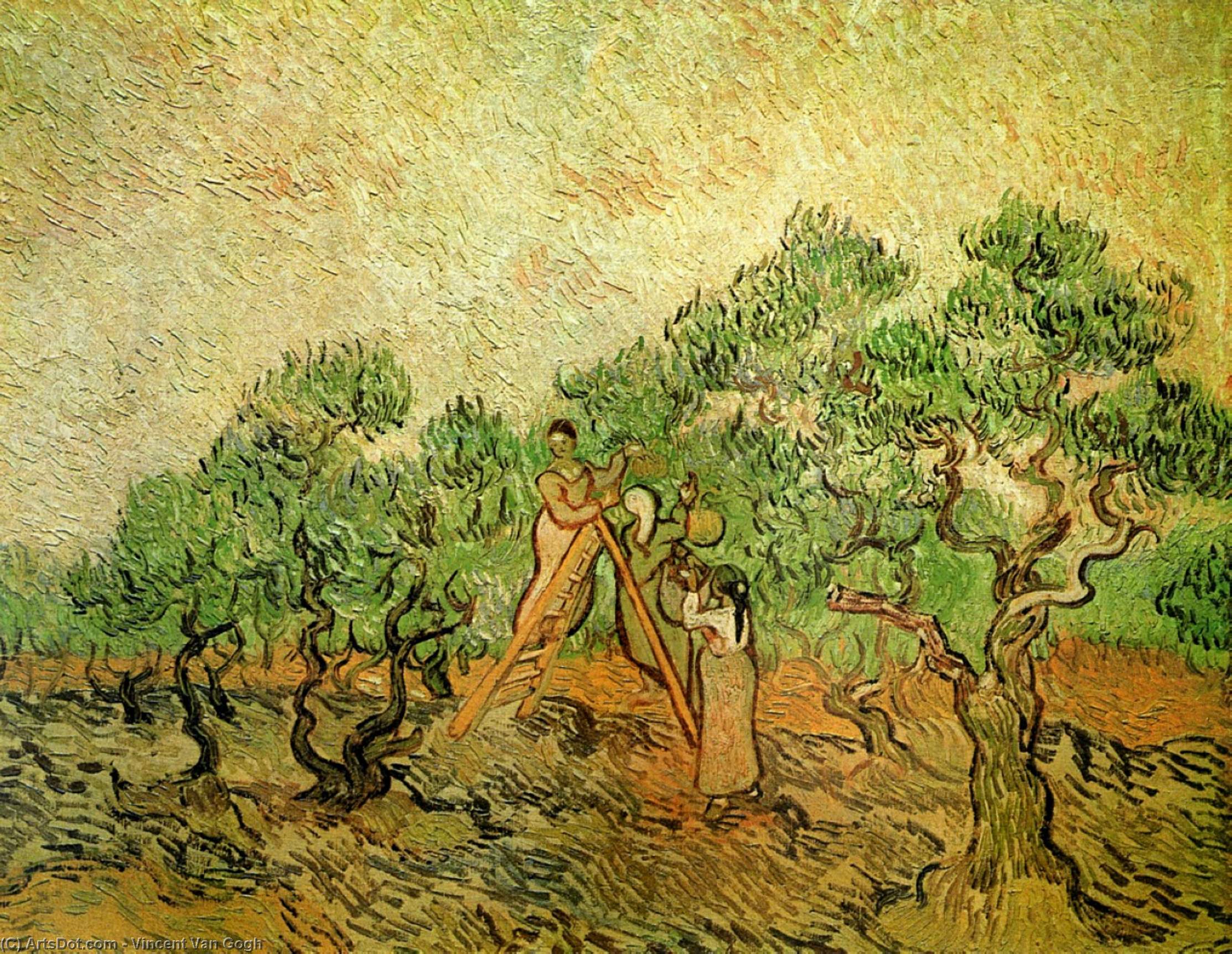Wikioo.org - The Encyclopedia of Fine Arts - Painting, Artwork by Vincent Van Gogh - Olive Picking