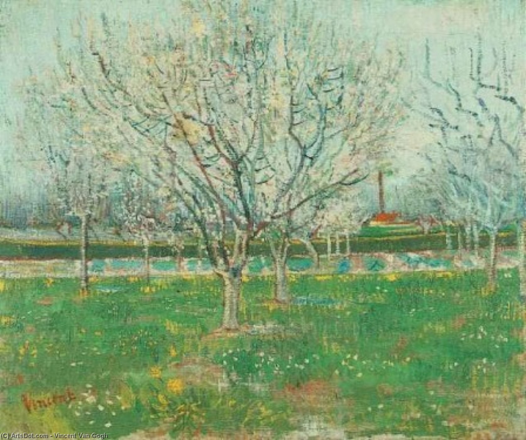 Wikioo.org - The Encyclopedia of Fine Arts - Painting, Artwork by Vincent Van Gogh - Orchard in Blossom Plum Trees