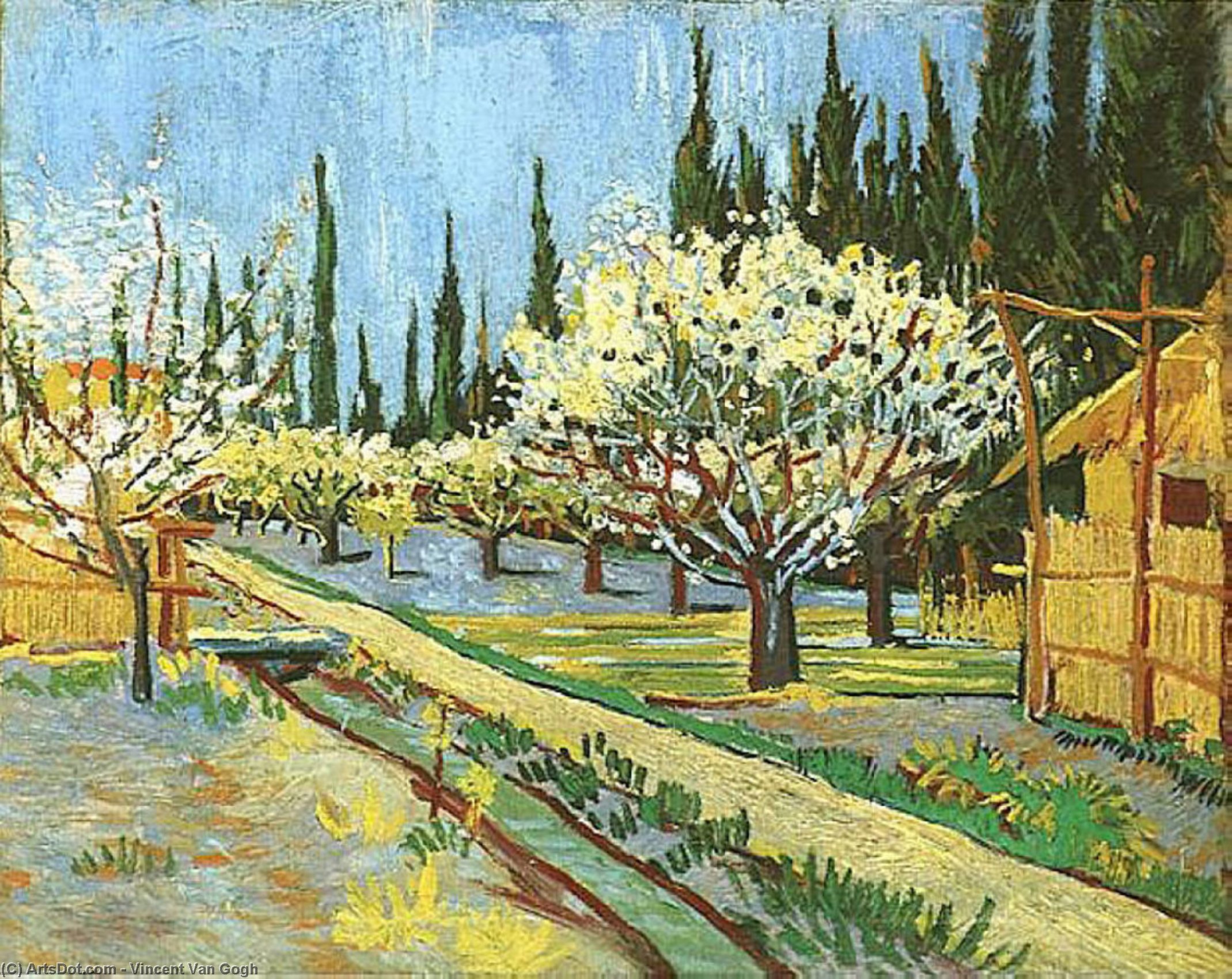 Wikoo.org - موسوعة الفنون الجميلة - اللوحة، العمل الفني Vincent Van Gogh - Orchard in Blossom, Bordered by Cypresses