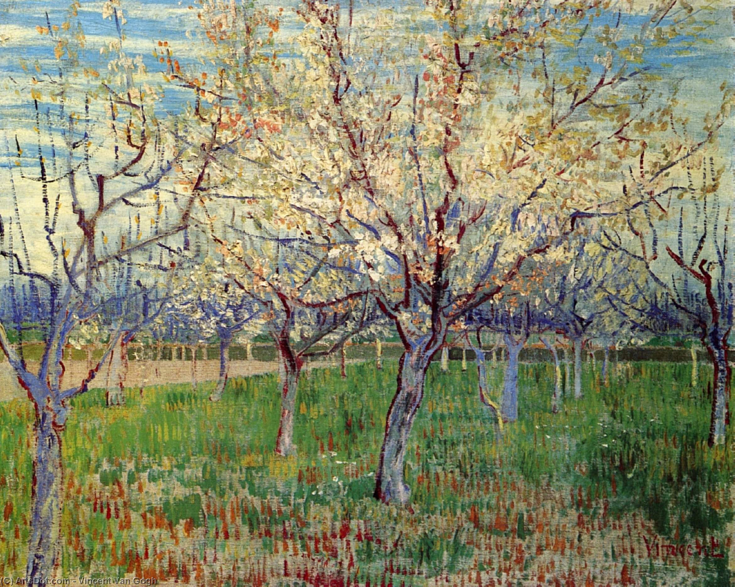 Wikioo.org - The Encyclopedia of Fine Arts - Painting, Artwork by Vincent Van Gogh - Orchard with Blossoming Apricot Trees