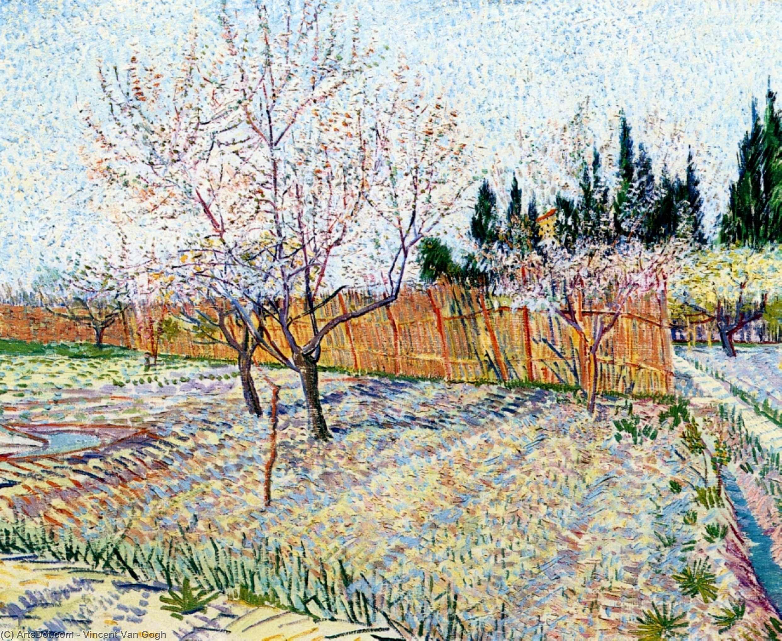 WikiOO.org – 美術百科全書 - 繪畫，作品 Vincent Van Gogh - 果园 与  桃  树  在  开花
